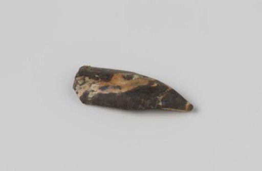 Fragment of a pipe bowl from the wreck of the East Indiaman Hollandia