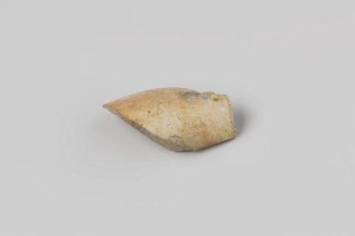 Fragment of a pipe bowl from the wreck of the East Indiaman Hollandia