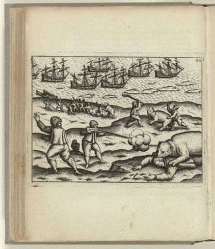 Shooting of the polar bear that had attacked two sailors, 1595