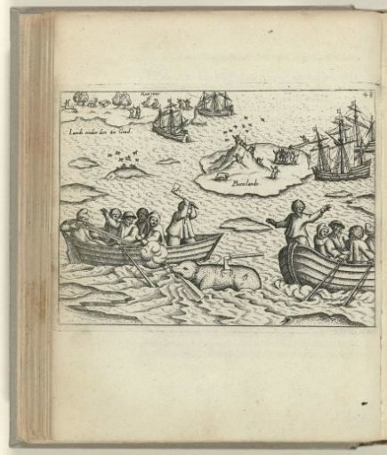 Fight with a polar bear, 1596