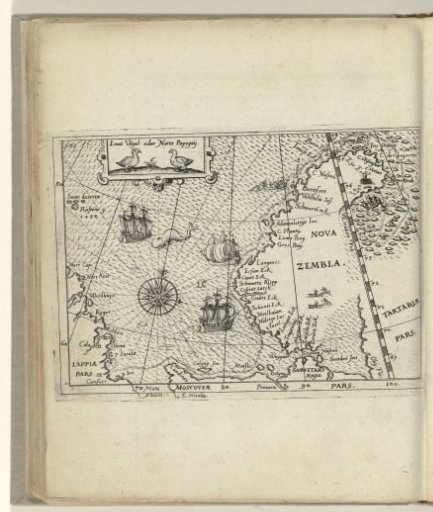 Map of Nova Zembla, 1594