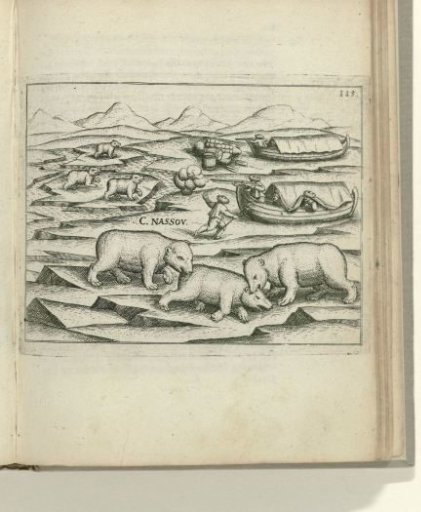 Attack by three polar bears on the boats, 1597