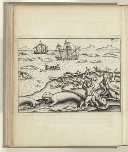 Hunt for Walruses, 1594