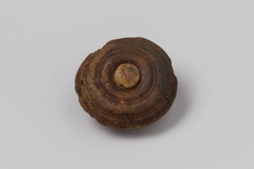 Fragment of a lid from the wreck of the East Indiaman Hollandia