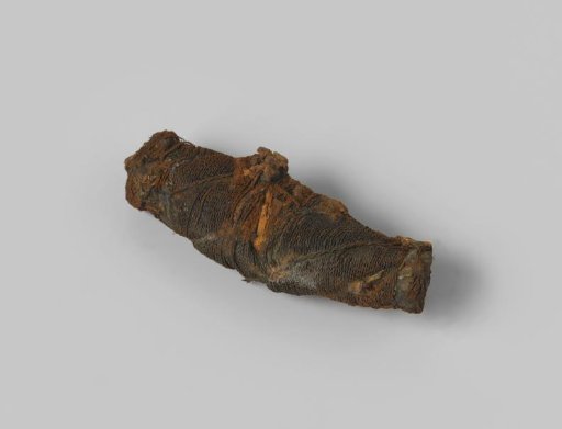 Grip with concretion of a hilt from the wreck of the Dutch East Indiaman Hollandia