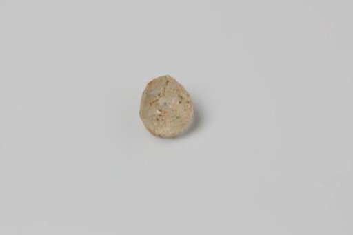 Fragment of a straight glass rod from the wreck of the East Indiaman Hollandia
