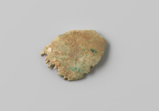 Fragment of a human skull from the wreck of the East Indiaman Hollandia