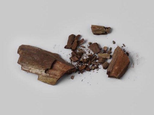Fragments and splinters of wood from the wreck of the East Indiaman Hollandia