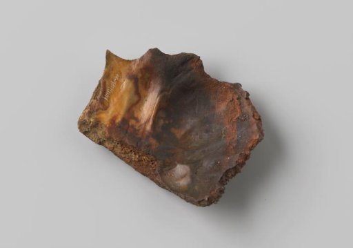 Fragment of a human skull from the wreck of the East Indiaman Hollandia