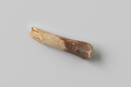 Pig bone fragment from the wreck of the East Indiaman Hollandia
