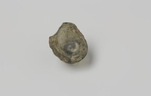 Fragment of a bowl from a flute glass from the wreck of the East Indiaman Hollandia