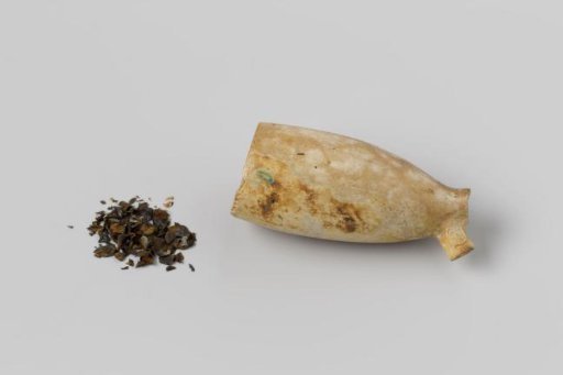 Pipe bowl and seeds from the wreck of the East Indiaman Hollandia
