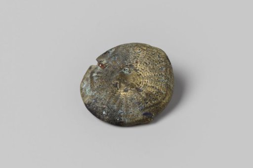 Knob from the Wreck of the East Indiaman Hollandia