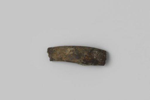 Fragment of a Shoe Buckle from the Wreck of the East Indiaman Hollandia