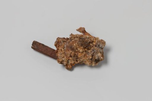 Concretion with wood fragments from the wreck of the East Indiaman Hollandia