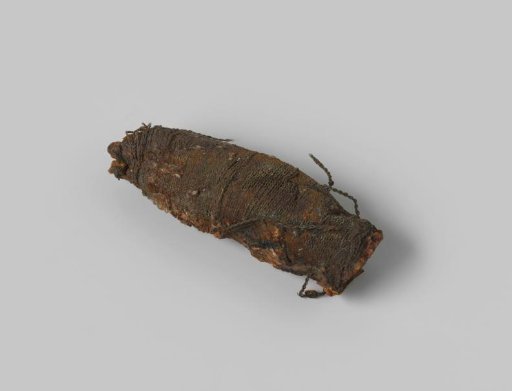 Hilt from the shipwreck of the East Indiaman Hollandia