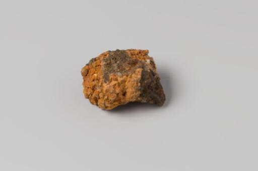 Concretion from the wreck of the East Indiaman Hollandia