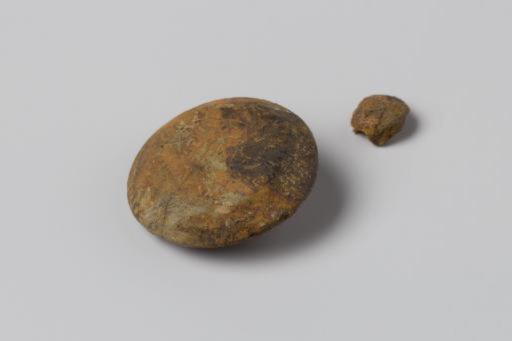 Button from the Wreck of the East Indiaman Hollandia