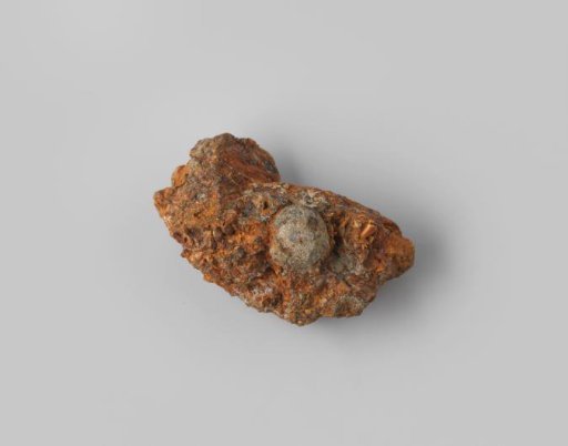 Musket ball in concretion from the wreck of the Dutch East Indiaman Hollandia