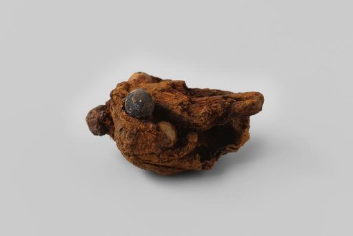 Shot or grape shot  from the wreck of the Dutch East Indiaman Hollandia