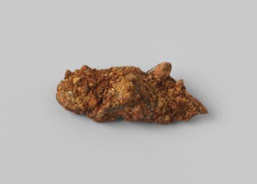 Trigger plate in concretion of a musket from the wreck of the Dutch East Indiaman Hollandia