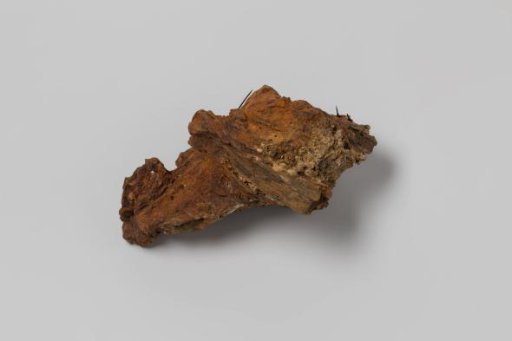 Concretion from the wreck of the East Indiaman Hollandia