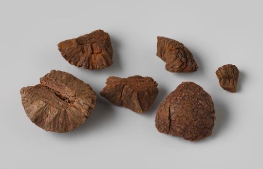 Fragments of balls from the wreck of the Dutch East Indiaman Hollandia