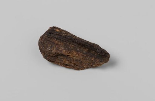 Wood fragment from the wreck of the East Indiaman Hollandia