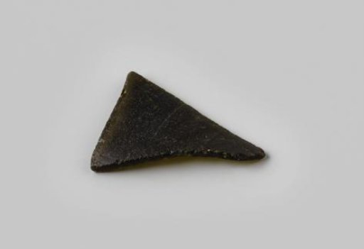 Sherd of a wine bottle from the wreck of the East Indiaman Hollandia