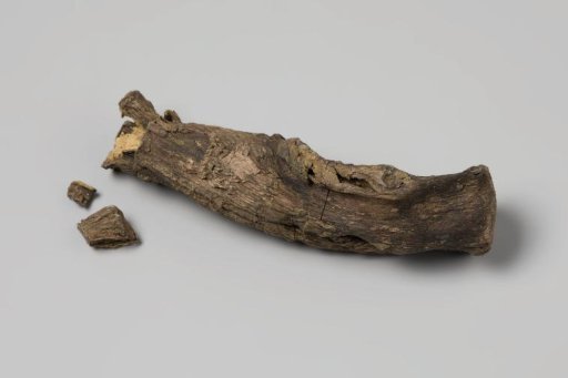 Handle of a chisel or gouge from the wreck of the East Indiaman Hollandia