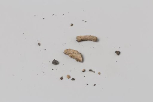 Fragmented fork or spoon handle from the wreck of the East Indiaman Hollandia