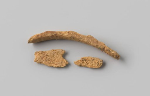 Fragments of animal ribs from the wreck of the East Indiaman Hollandia