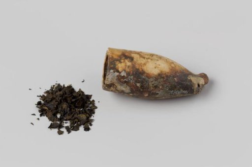 Pipe bowl and seeds from the wreck of the East Indiaman Hollandia