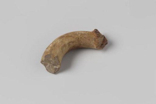 Ear of a jug from the wreck of the East Indiaman Hollandia