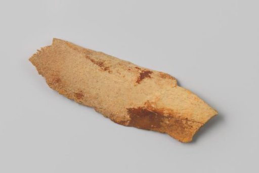 Fragment of a rib from a cow from the wreck of the East Indiaman Hollandia