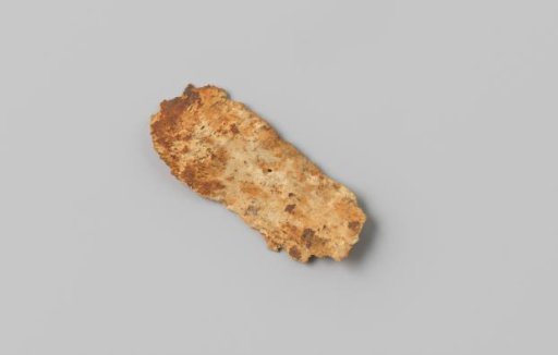 Fragment of a cow's rib from the wreck of the East Indiaman Hollandia