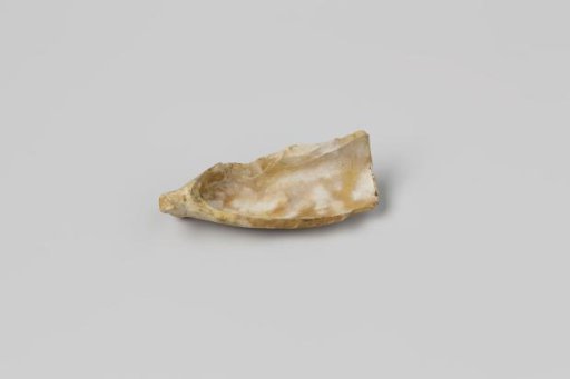 Fragment of a pipe bowl from the wreck of the East Indiaman Hollandia