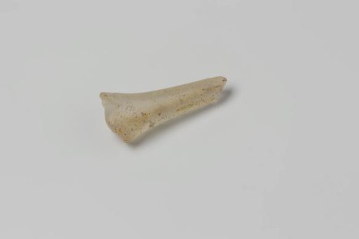 Fragment of a straight glass shank from the wreck of the East Indiaman Hollandia