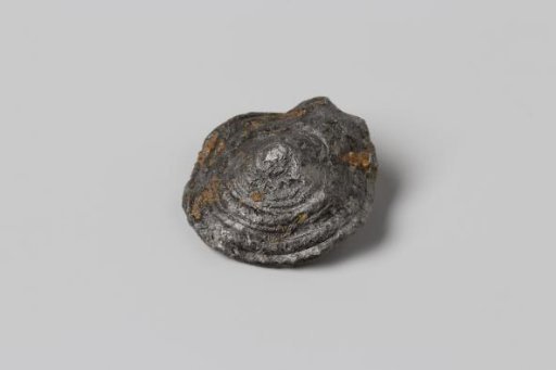Knot from the wreck of the East Indiaman Hollandia