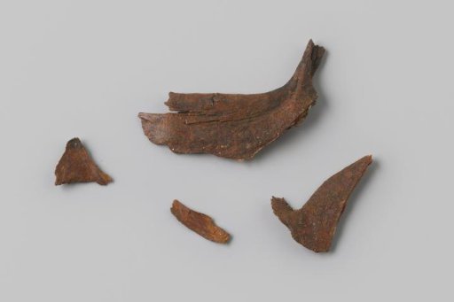 Fragments of fish bones from the wreck of the East Indiaman Hollandia