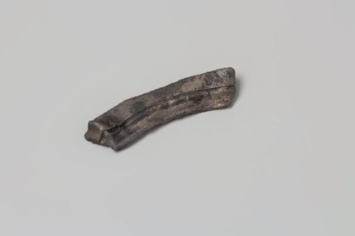 Fragment of the Foot of a Candelabrum from the Wreck of the East Indiaman Hollandia