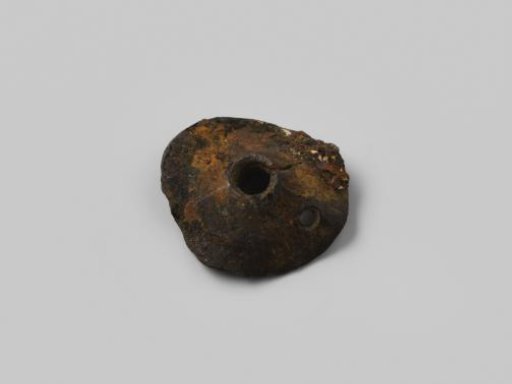 Disc-shaped Fragment from the Wreck of the East Indiaman Hollandia