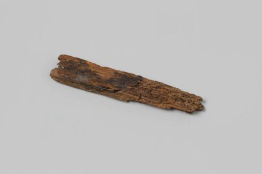 Wood fragment from the wreck of the East Indiaman Hollandia