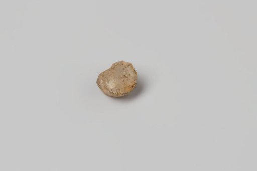 Fragment of a straight glass shank from the wreck of the East Indiaman Hollandia
