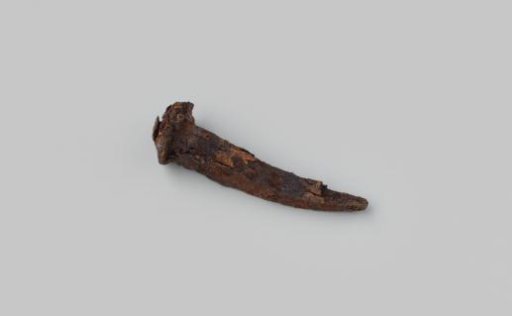 Nail from the wreck of the East Indiaman Hollandia