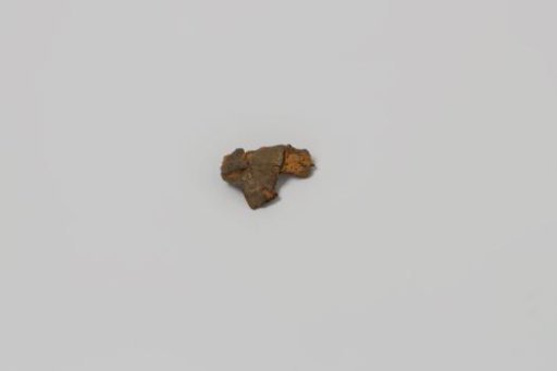 Fragment from the wreck of the East Indiaman Hollandia