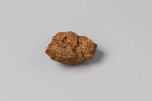 Concretion from the wreck of the East Indiaman Hollandia