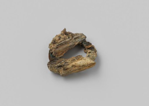Ring-shaped Fragment with Wood and Concretion from the Wreck of the East Indiaman Hollandia