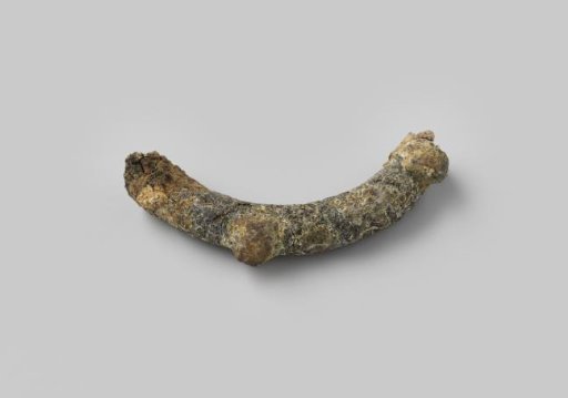 Half ring-shaped fragment from the wreck of the East Indiaman Hollandia