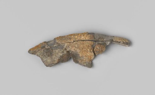 Rim fragment of a plate from the wreck of the Dutch East Indiaman Hollandia